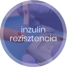 Inzulinrezisztencia